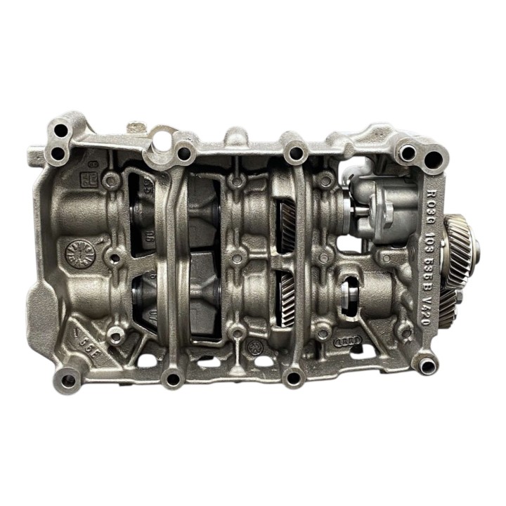 Ausgleichswellenmodul Audi Volkswagen Seat Skoda 2.0tdi