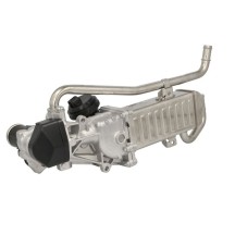 AGR-Kühler mit AGR-Ventil Neu BorgWarner 03L131512AS Audi VW Skoda SEAT 1.6 TDI